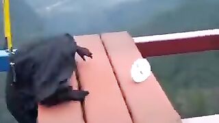 Funny video 287