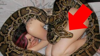 Wanita Ini Tidur Dengan Ular Setiap Malam, Sampai Dokter Menunjukkan Apa Yang Ada didalam Perut Ular