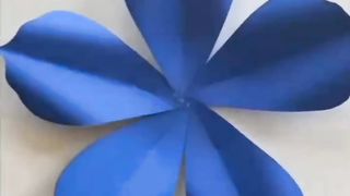 Beautiful flowers 5