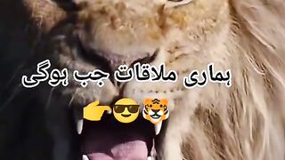 Hum waqat ki raftar se Shakeel poetry