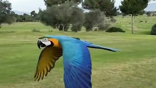 Favourite friend