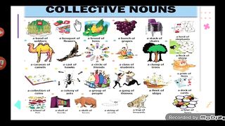 Parts of speech noun (collective noun)
