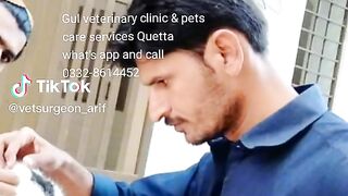 Gul veterinary clinic quetta 2