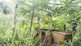 Penghasilan uang