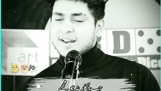 Poetry, febspot videos, trending, viral, TikTok videos, educational videos,