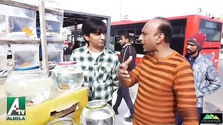 Funny Entertainment 2