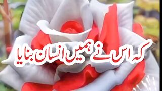 اللہ تعالیٰ کا شکر ہے