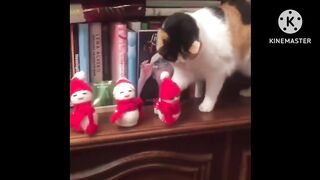 Funny Cats Trying To Laugh