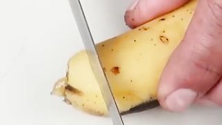 جدید کھتی باڑی