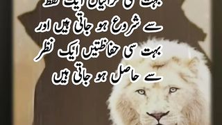 Hazrat Ali (AS) quotes