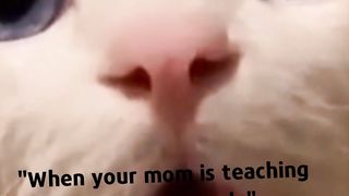 POV: When your mom is teaching you how to cook