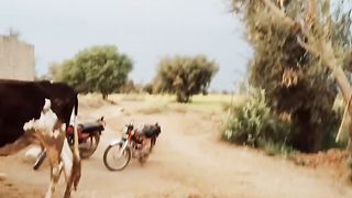 Gaown ka mahol.sada mahlo
