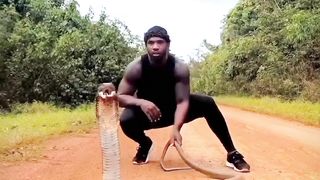 The man caught the dangerous snake