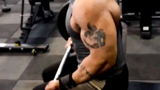 Seated Barbell Curl Bigger Bicep Peak Workout