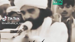 Peer Naseer