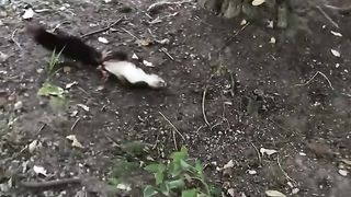 Awesome video ???? 26