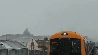 Favorite video