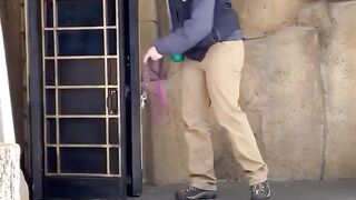 Rocket our rescue dog demonstrates some of his pawsome tricks while sporting
