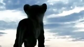 Lion attitude status video.