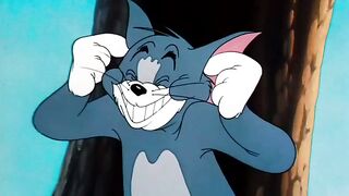tom and jerry cartoon #febspot video
