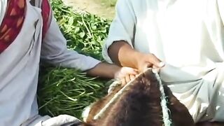 Funny video ???????????? 5