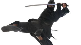 ninja voleur