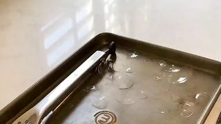 Awesome video ???? 28
