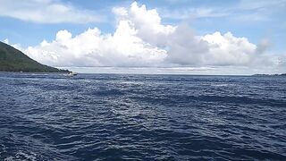 sea ​​port activities Part 3