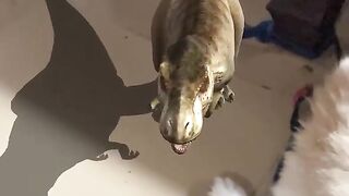 Dinosaur ????