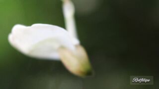 Hear the sounds of Nature.
