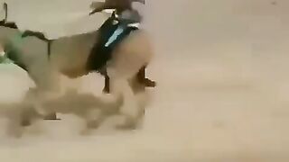 SUPER RACING