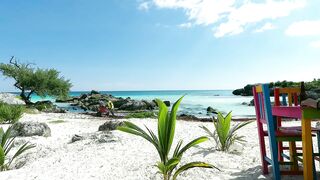 Beautiful view on the beach