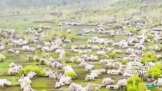 Spring season gilgit baltistan