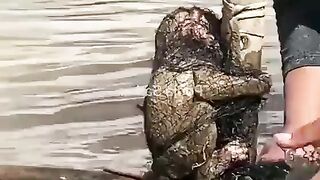 Helping baby monkey from fish-net he so sad