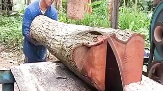 Country boy sawing wood in the wood shop