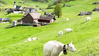 Beauty of nature 2