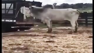 funny moments in the world