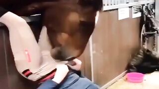 Reels Viral Video
