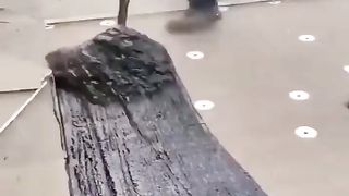Clean the floor very Fast and so satisfying