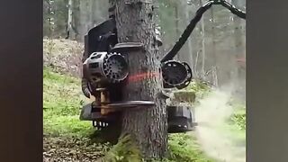 The most modern tree cutte