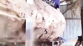 DV Processing importedlog white pine
