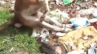 Very emotional video must watch this video ????????