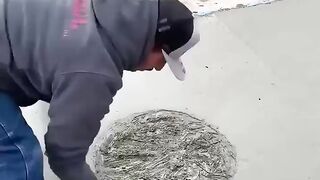 DV That's what you call real skilled work