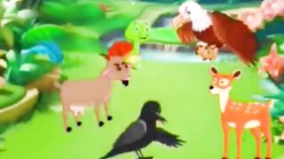 Jungle | Aur | Dukh | Sukh | K | Sathi | جنگل اور دُکھ سُکھ کے ساتھی