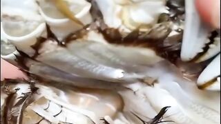This Video is amazing 2