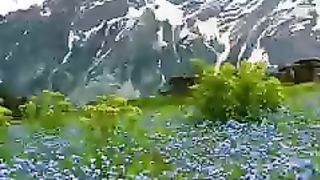 Nature Beauty Sawat - Pakistan