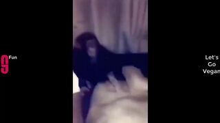 TRY NOT TO LAUGH Best Funny Videos Compilation 2