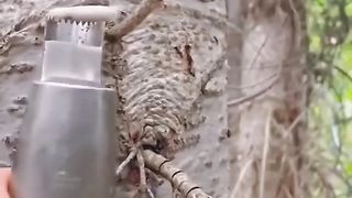 wonderful things in the world