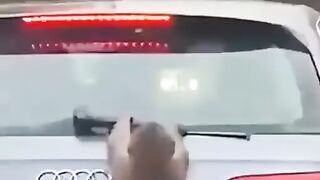 Viral Amazing