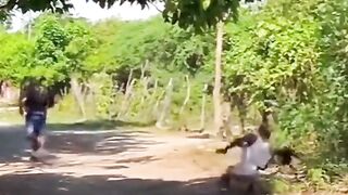 Funny Video 10